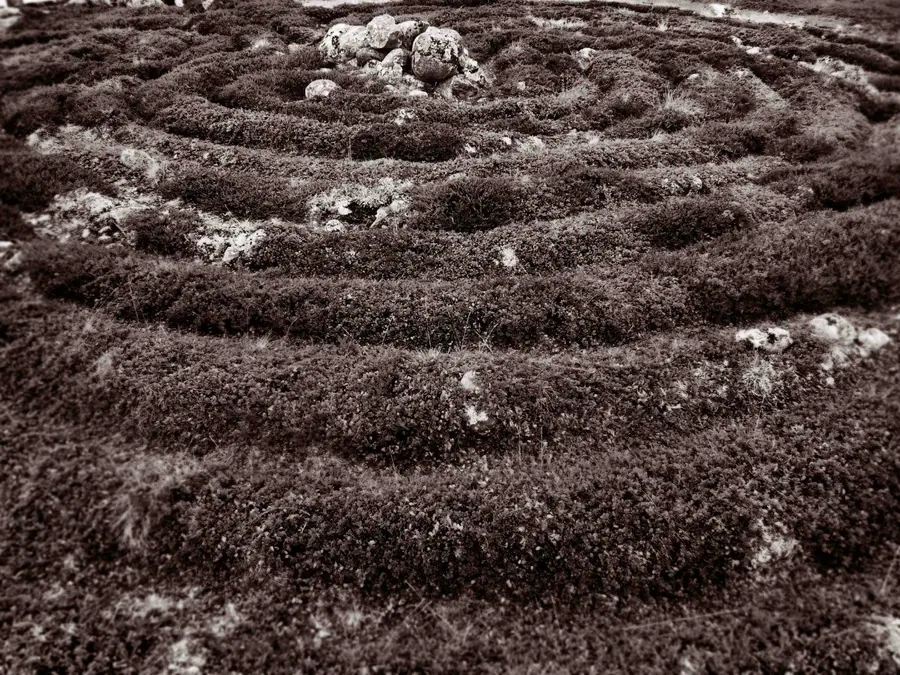 Соловки. Зайки. Лабиринт — художественная фотография Вячеслава Ларионова (серия «Поморские виденья», 2016 г.)