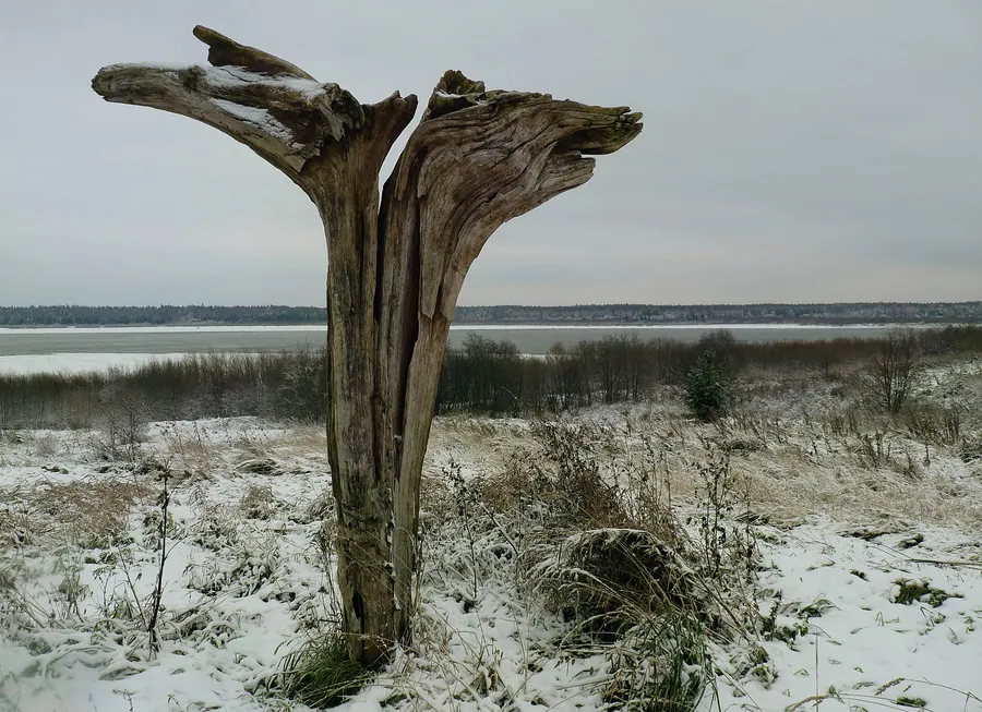 Первый снег во Звозе (пред Самайном 29 октября) — художественная фотография Вячеслава Ларионова (серия «Звоз и Скифы», 2016 г.)